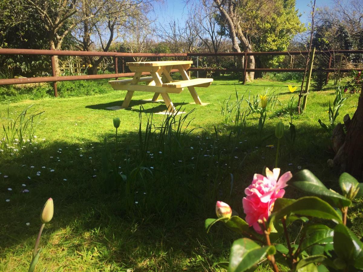 Herons Pool Bed & Breakfast Coverack Dış mekan fotoğraf